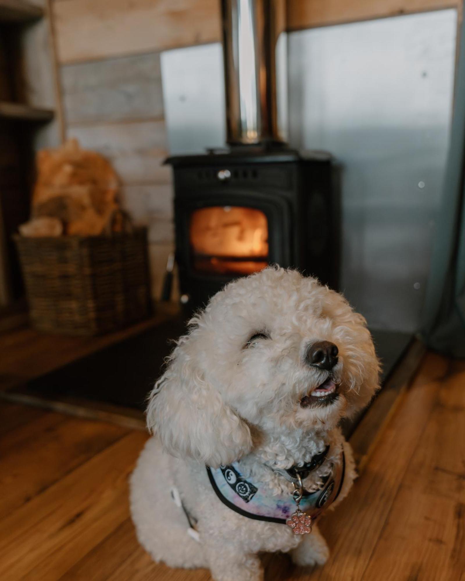 Hotel Llechwedd Glamping Blaenau Ffestiniog Esterno foto